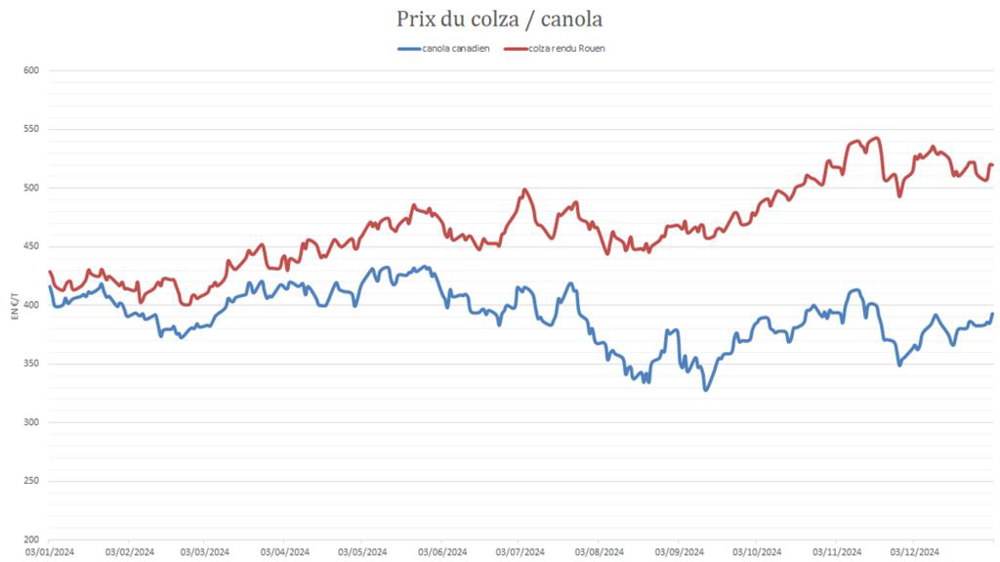 Les prix du canola canadien gagnent en compétitivité.