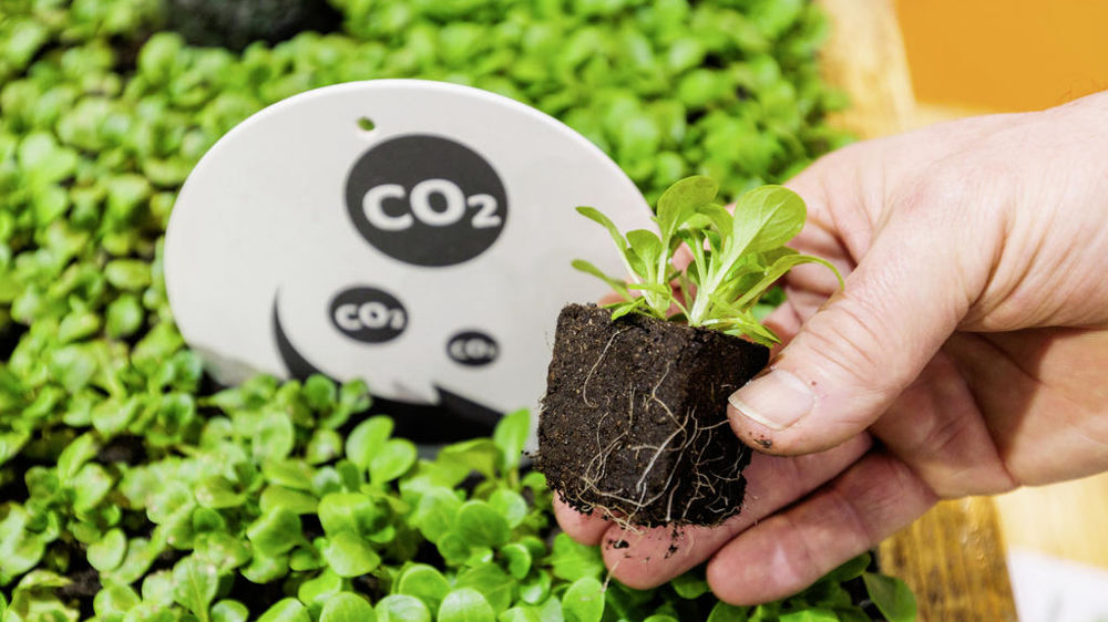 Au cœur de l’événement IPM Essen, un forum déclinera quatre thématiques de prospective autour des jeunes plants et de l’industrie horticole, de sa production à la commercialisation, en passant par la durabilité et la protection des abeilles.