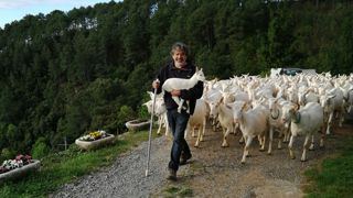 Denis Dumain, éleveur en Ardèche et président de l’association des producteurs de chevreaux de l’Aura, soutient la création d’un label rouge chevreau. Denis Dumain, éleveur en Ardèche et président de l’association des producteurs de chevreaux de l’Aura, soutient la création d’un label rouge chevreau.