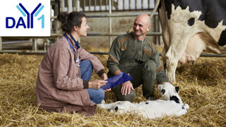 Lien éleveur-vétérinaire facilité avec Day 1, pour progresser ensemble