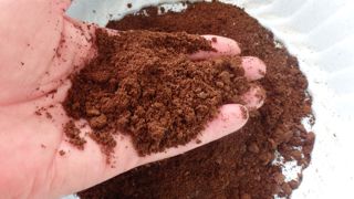 Le marc de café constitue un engrais naturel et un répulsif efficace pour votre jardin.