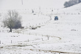 Chaque riverain bénéficie d’un droit de priorité pour acquérir la partie du chemin attenante à sa propriété.