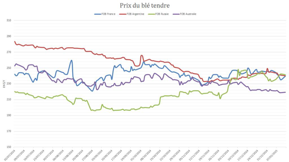 Le blé français peine encore à imposer sa compétitivité sur la scène internationale.