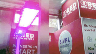 Smart Dimming réalloue progressivement l’énergie vers les couleurs LED les plus efficaces, telles que le rouge, qui favorisent la photosynthèse et équilibrent la croissance. Smart Dimming réalloue progressivement l’énergie vers les couleurs LED les plus efficaces, telles que le rouge, qui favorisent la photosynthèse et équilibrent la croissance.