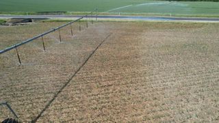 France Stratégie publie un rapport consacré à la demande en eau à l'horizon de 2050 et prévoit une hausse de l'irrigation sur le territoire français. France Stratégie publie un rapport consacré à la demande en eau à l'horizon de 2050 et prévoit une hausse de l'irrigation sur le territoire français.