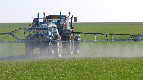 Une proposition de loi pour réautoriser certains produits phytosanitaires