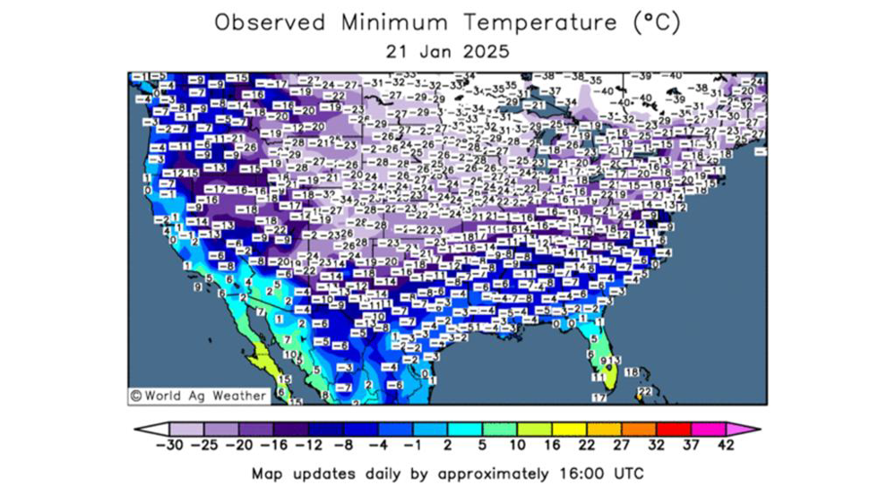 La chute des températures aux USA menace les cultures de blé d'hiver.