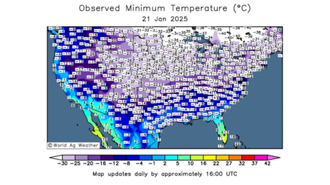 La chute des températures aux USA menace les cultures de blé d'hiver.