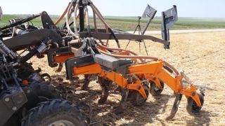 Les essais menés par Arvalis montrent que l’injection de l’effluent avec le strip-tiller se traduit par des rendements supérieurs à ceux obtenus avec une rampe à pendillards. Les essais menés par Arvalis montrent que l’injection de l’effluent avec le strip-tiller se traduit par des rendements supérieurs à ceux obtenus avec une rampe à pendillards.