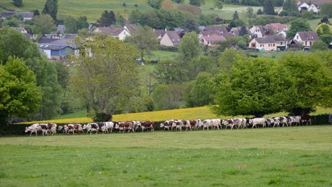 Plusieurs sujets agricoles seront abordés au Sénat cette semaine.