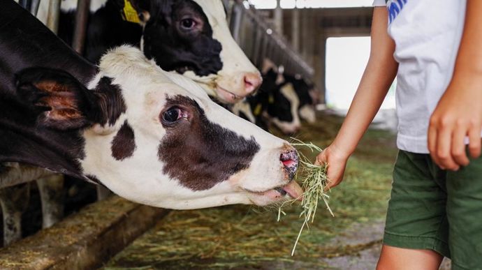 « Salarié ou éleveur, on travaille pour gagner sa vie », estiment les jeunes en formation agricole.