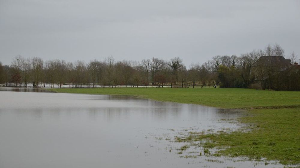 La Seiche, derrière la rangée de peupliers, n’aura jamais si mal porté son nom qu’en cette fin janvier 2025. Depuis plus d’une semaine, elle est sortie de son lit et a envahi champs et prairies.