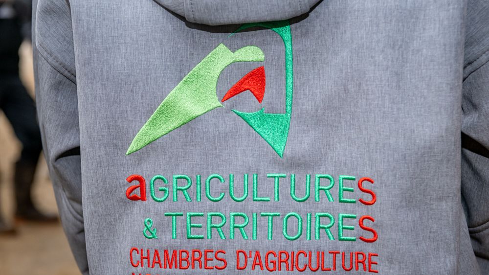 L'heure du verdict des urnes pour les syndicats agricoles 