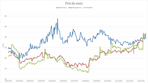 Le maïs sud-américain a perdu sa compétitivité.