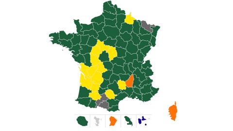 La Coordination rurale (en jaune) a remporté 14 chambres aux élections professionnelles agricoles de 2025, contre trois en 2019. La Coordination rurale (en jaune) a remporté 14 chambres aux élections professionnelles agricoles de 2025, contre trois en 2019.