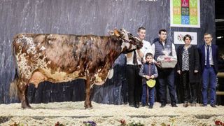 Le concours se déroulera dimanche 23 février sur le grand ring à 14h. Le concours se déroulera dimanche 23 février sur le grand ring à 14h.