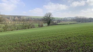 La sole de céréales d’hiver 2024-2025 est estimée à 6,35 millions d’hectares par le ministère de l'Agriculture, en hausse de 0,43 million d'hectares par rapport à la campagne précédente (+7,2 %). La sole de céréales d’hiver 2024-2025 est estimée à 6,35 millions d’hectares par le ministère de l'Agriculture, en hausse de 0,43 million d'hectares par rapport à la campagne précédente (+7,2 %).