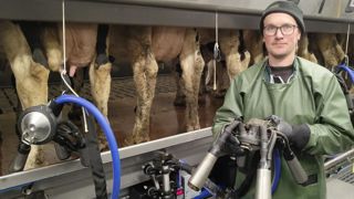 Le Gaec Jehan a installé un système AirWash+ pour la désinfection et le posttrempage automatique. Le Gaec Jehan a installé un système AirWash+ pour la désinfection et le posttrempage automatique.