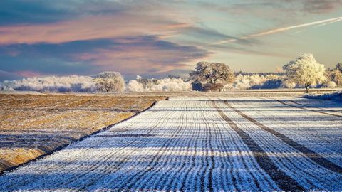 Les couvertures neigeuses s'étendent mais restent insuffisantes en Russie. Les couvertures neigeuses s'étendent mais restent insuffisantes en Russie.