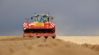 Nombreux sont les facteurs qui rendent la pomme de terre « techniquement et économiquement plus difficile à produire et financièrement plus risquée », estime le NEPG le 12 février 2025.