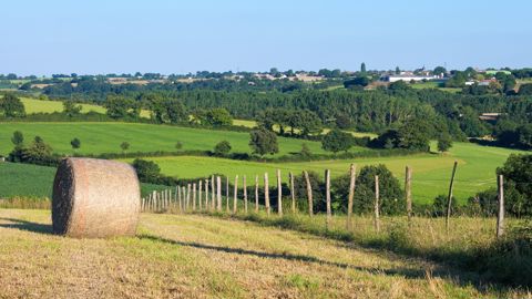 Le projet de loi agricole pourrait être adopté dès la fin de semaine prochaine.