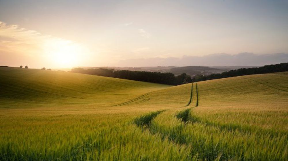 Biosolutions : les agriculteurs témoignent sur leurs bénéfices au champ !