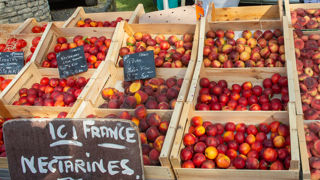 Fabien Gaucher, responsable juridique d'Interfel, a salué le travail de la Répression des fraudes (DGCCRF) qui « prend à bras le corps » le sujet de la lutte contre la francisation des fruits. Fabien Gaucher, responsable juridique d'Interfel, a salué le travail de la Répression des fraudes (DGCCRF) qui « prend à bras le corps » le sujet de la lutte contre la francisation des fruits.