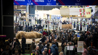 La prochaine édition du Salon de l'agriculture souhaite être un rendez-vous festif et apaisé autour des acteurs du monde agricole. La prochaine édition du Salon de l'agriculture souhaite être un rendez-vous festif et apaisé autour des acteurs du monde agricole.