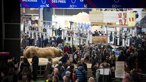 La prochaine édition du Salon de l'agriculture souhaite être un rendez-vous festif et apaisé autour des acteurs du monde agricole. La prochaine édition du Salon de l'agriculture souhaite être un rendez-vous festif et apaisé autour des acteurs du monde agricole.