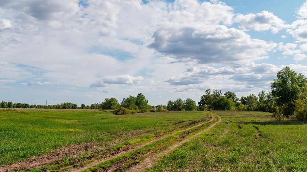 Champs sous le soleil