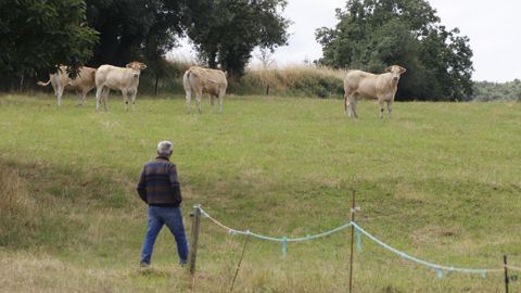 La retraite agricole sera désormais calculée à partir des 25 meilleures années de al carrière. (Photo d'illustration).