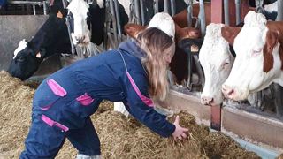 Communication conçue et proposée par Le Cniel