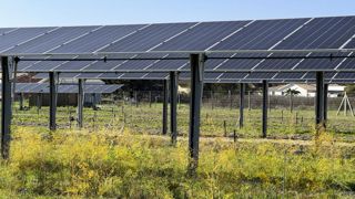L'agrivoltaïsme figure à la troisième place des solutions envisagées pour protéger les cultures des aléas climatiques, devant l'agroforesterie ou les filets de protection. L'agrivoltaïsme figure à la troisième place des solutions envisagées pour protéger les cultures des aléas climatiques, devant l'agroforesterie ou les filets de protection.