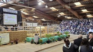 « À Jalogny, les acquéreurs viennent chercher de la viande », souligne Didier Giraud, président du GIE Synergie Charolais. « À Jalogny, les acquéreurs viennent chercher de la viande », souligne Didier Giraud, président du GIE Synergie Charolais.