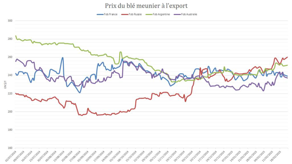 Le blé français a nettement gagné en compétitivité ces dernières semaines.