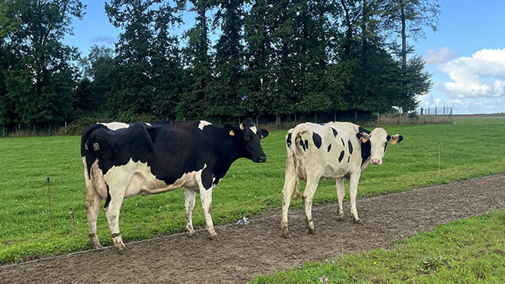 Stabilisez vos sols agricoles pour des sols praticables toute l’année
