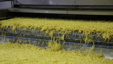 6,2 Mt de pommes de terre ont été travaillées par les industriels belges en 2023, contre 1,6 Mt en 2001.