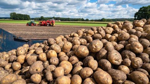McCain s’est fixé comme ambition de promouvoir l'agriculture de régénération sur l’ensemble de ses surfaces de pommes de terre d’ici à 2030. McCain s’est fixé comme ambition de promouvoir l'agriculture de régénération sur l’ensemble de ses surfaces de pommes de terre d’ici à 2030.