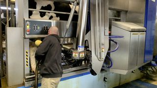 Nettoyage. Si la matière organique s'accumule, des germes se développent et risquent de contaminer les vaches et le matériel. Il faut donc nettoyer la stalle une fois par semaine.