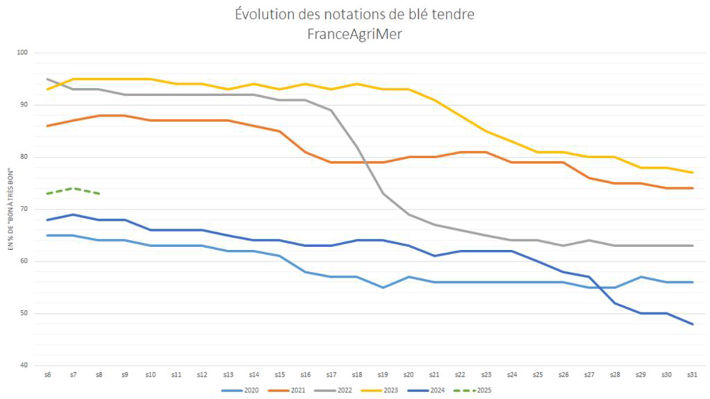 Les notations de blé tendre restent à des niveaux critiques en France.