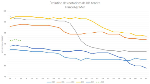 Les notations de blé tendre restent à des niveaux critiques en France.
