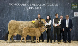 Jolie au Gaec Élevage Vidalenc championne de la race aubrac Jolie au Gaec Élevage Vidalenc championne de la race aubrac