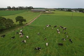 « Le bail à métayage se distingue du bail à ferme par un mode particulier de rémunération », confirme Lionel Manteau, avocat honoraire spécialiste en droit rural. « Le bail à métayage se distingue du bail à ferme par un mode particulier de rémunération », confirme Lionel Manteau, avocat honoraire spécialiste en droit rural.