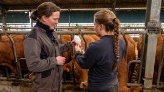 Pour le vétérinaire, la balance bénéfice/risque plaide en faveur de la vaccination, tant MHE et FCO impactent les performances zootechniques des animaux. Pour le vétérinaire, la balance bénéfice/risque plaide en faveur de la vaccination, tant MHE et FCO impactent les performances zootechniques des animaux.
