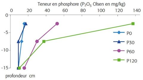 Profils de disponibilité du phosphore dans le sol sous prairie de dactyle de 9 ans, avec 4 régimes d'apport de phosphore - Essai de Padiès (81)