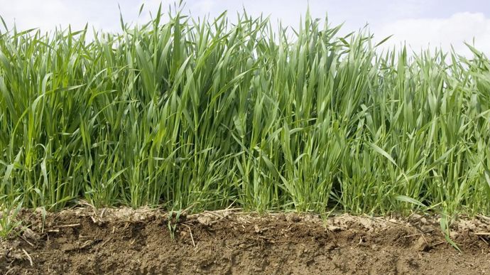 [] Quel est l’impact de l’agriculture de conservation des sols sur l’environnement ?