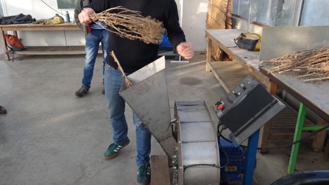 La batteuse de semences potagères réalise un prétri des graines de toutes sortes.