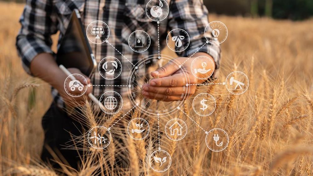 Utilisation de l'intelligence artificielle dans les outils d'aide à la décision en agriculture