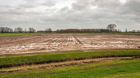 Depuis un an et demi, on assiste à une succession d’intempéries et de jours gris sur de nombreuses régions.