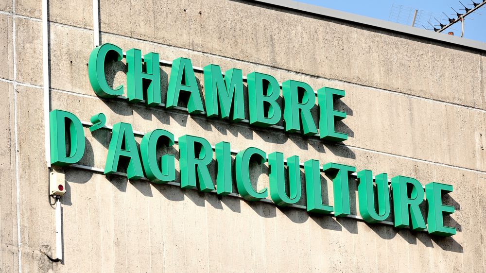 La CR échoue à prendre la Chambre d'agriculture de Nouvelle-Aquitaine